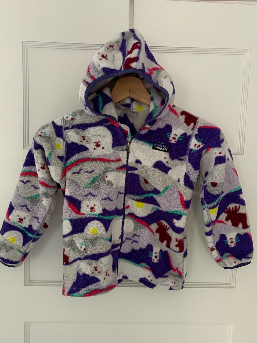 Patagonia full zip fleece 5t
